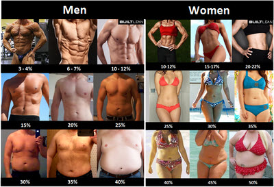 men-women-fat-mass.jpeg