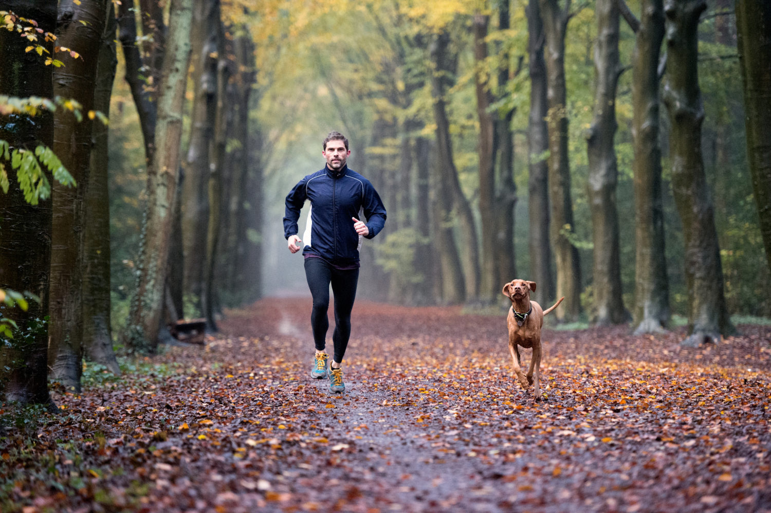 Why Exercise in Colder Weather? — Withings